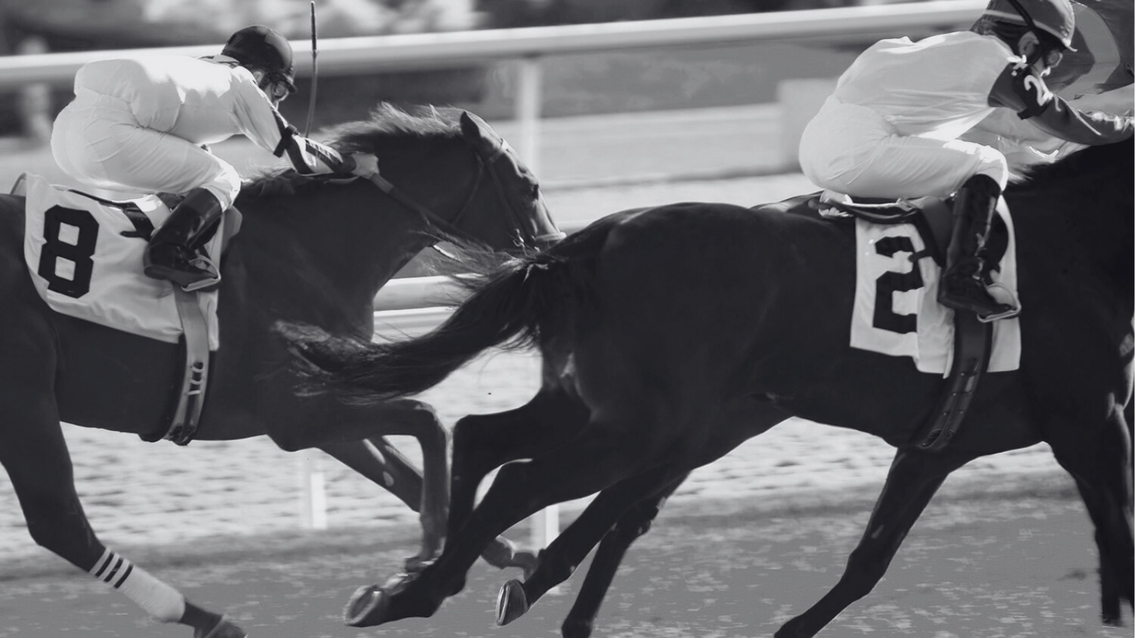 Racing Syndicates: The Legal Essentials