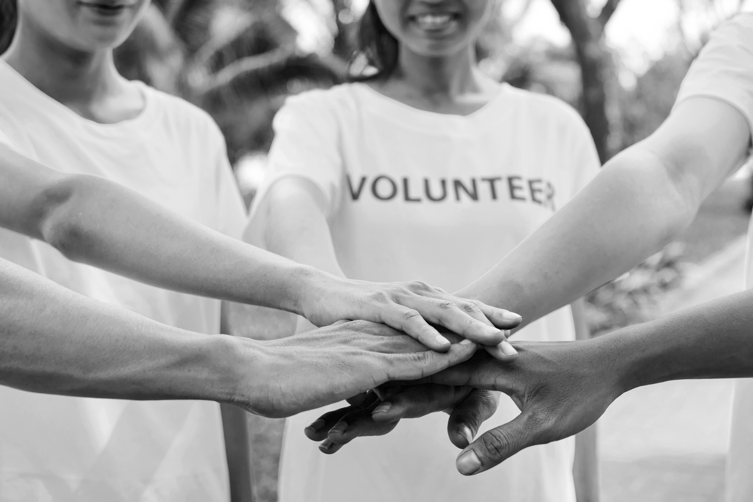 Ensuring a Charity Merger Is Successful