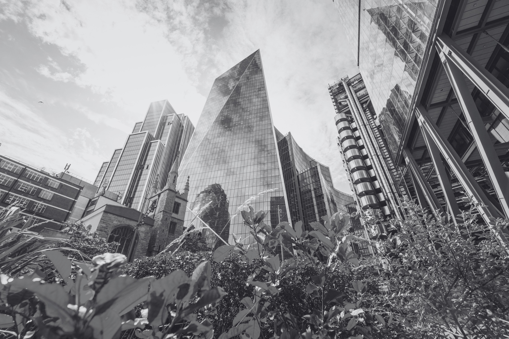 Sustainability in Commercial Real Estate: What You Need to Know